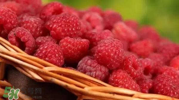 樹莓可以直接吃嗎？樹莓里的小籽能吃嗎？