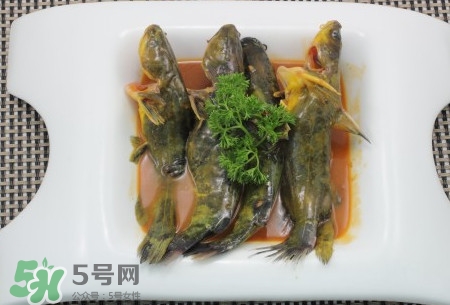 嘎魚不適合什么人吃？黃顙魚不適合什么人吃