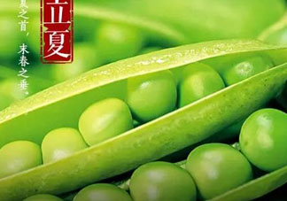 立夏吃什么好？立夏吃什么蔬菜？