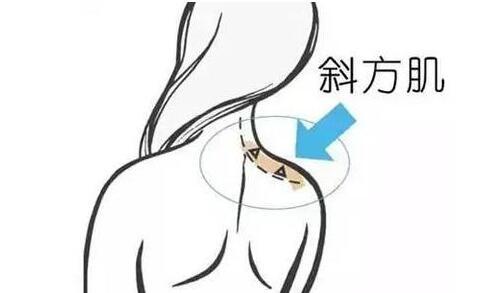 天鵝頸是什么樣的？天鵝頸怎么練？
