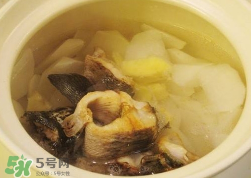 黑魚(yú)能和蘿卜一起吃嗎？黑魚(yú)能和胡蘿卜同食嗎
