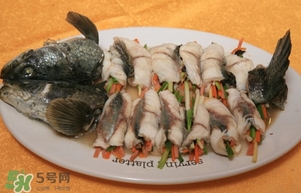 生魚是什么魚？生魚片是什么魚