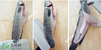 黑魚怎么切片？黑魚如何切魚片