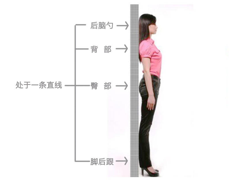 天鵝頸是什么樣的？天鵝頸怎么練？