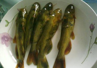 嘎魚是海魚嗎？嘎魚是什么魚