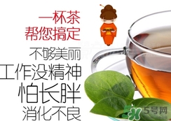 脂流茶成分 脂流茶可以減肥嗎？
