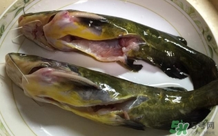 黃辣丁一斤多少錢？黃辣丁價(jià)格