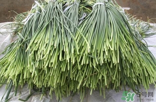 蒜薹跟什么相克？蒜薹不能和什么一起吃