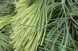 蒜薹怎么摘？蒜薹怎么擇？