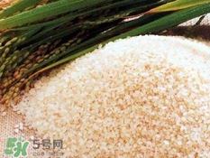 包粽子的米要泡多久？包粽子的米是什么米？