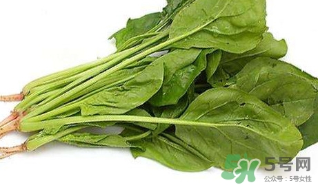 黃辣丁能和菠菜同食不？菠菜可以和黃辣丁一起吃嗎