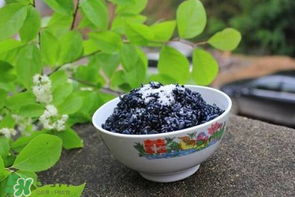 烏飯用什么葉子煮？烏飯用什么葉子圖片？