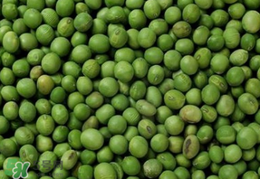 青豆可以打豆?jié){嗎？青豆能做豆?jié){嗎？
