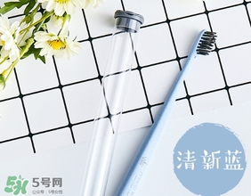 amortals爾木萄牙刷怎么樣？amortals爾木萄牙刷多少錢？