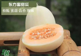 甜瓜可以帶上飛機(jī)嗎？坐飛機(jī)可以帶香瓜嗎？