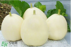 甜瓜可以帶上飛機(jī)嗎？坐飛機(jī)可以帶香瓜嗎？