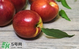 油桃什么時候成熟？油桃什么季節(jié)成熟