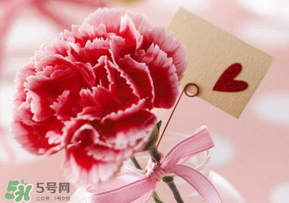 母親節(jié)要送婆婆禮物嗎？母親節(jié)要給婆婆買禮物嗎？
