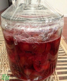 三華李能泡酒嗎？三華李怎么泡