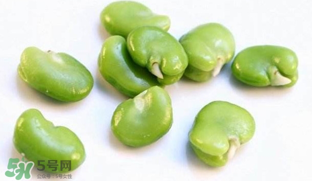 青蠶豆怎么保存？剝好的蠶豆怎么保存