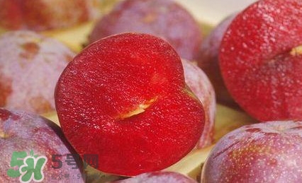 吃三華李有什么好處？三華李的功效與作用