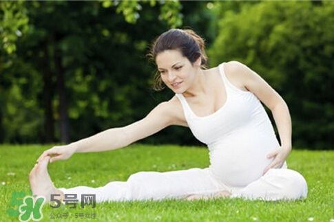 孕婦能做平板支撐嗎？孕婦能做哪些運動？