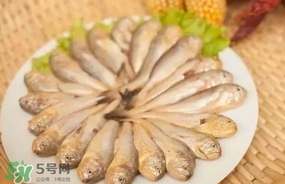 黃唇魚(yú)是黃花魚(yú)嗎？黃唇魚(yú)是黃魚(yú)嗎？