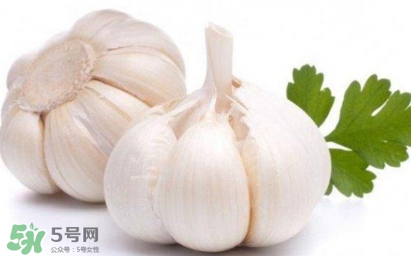 蒜頭怎么腌制好吃？腌制咸蒜的正確方法