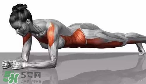 堅(jiān)持做一個(gè)月平板支撐會(huì)怎樣？女生做平板支撐一個(gè)月