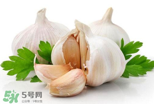 蒜頭能放冰箱嗎？蒜頭能放多久？