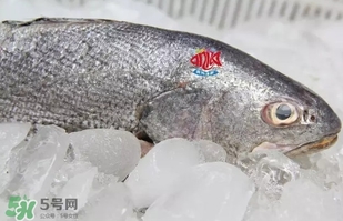 黃唇魚(yú)是黃花魚(yú)嗎？黃唇魚(yú)是黃魚(yú)嗎？