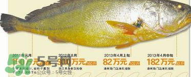 孕婦能吃金錢鱉嗎？懷孕期間能不能吃金錢鱉？