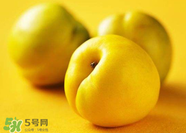 油桃和芒果可以一起吃嗎？芒果和油桃能一起吃嗎？