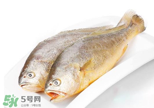 黃唇魚是不是黃花魚？黃唇魚和黃花魚的區(qū)別