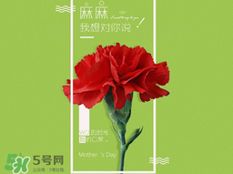 2017年母親節(jié)會(huì)打折嗎？2017年母親節(jié)有什么優(yōu)惠活動(dòng)？