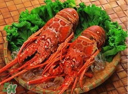 什么時(shí)候釣龍蝦最好？龍蝦幾月份能釣？