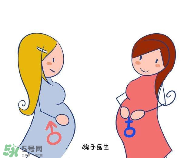 怎么問醫(yī)生胎兒性別？醫(yī)生會告訴胎兒性別嗎？