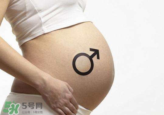 怎么問醫(yī)生胎兒性別？醫(yī)生會告訴胎兒性別嗎？
