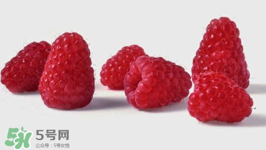孕婦可以吃山莓嗎？孕婦能不能吃山莓