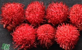 紅毛丹什么時候上市？紅毛丹什么季節(jié)有？