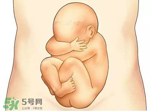 胎兒在媽媽肚子里都會干啥？胎兒的神奇世界