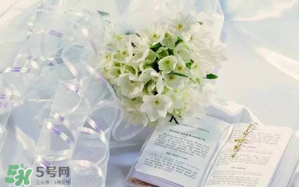jill stuart湛藍(lán)祝福限定系列有哪些？jill stuart湛藍(lán)限定多少錢？