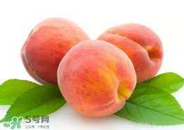 桃子為什么不能和西瓜一起吃？桃子和西瓜為什么不能一起吃？