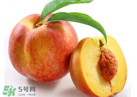 桃子可以放冰箱嗎？桃子能放冰箱保鮮嗎？