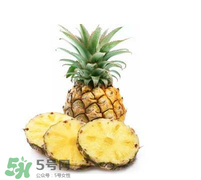 孕婦能吃菠蘿嗎？菠蘿孕婦能不能吃？
