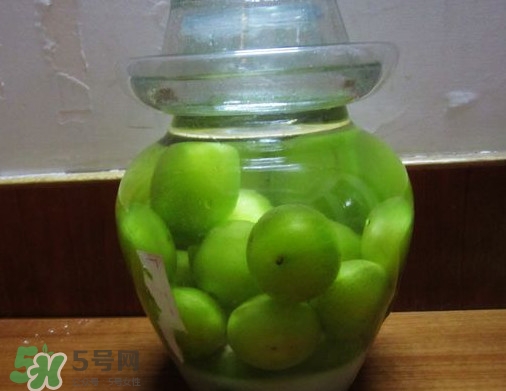 三華李可以泡酒嗎？三華李可以多吃嗎？