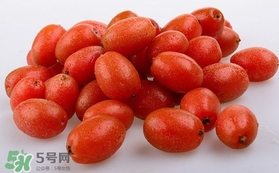 羊奶果可以連皮吃嗎？羊奶果的皮可以吃嗎