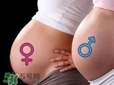 B超單數(shù)據(jù)怎么看男女？B超單看男女準(zhǔn)嗎？