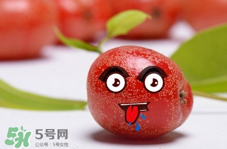 羊奶子有什么藥用價(jià)值？羊奶子有什么功效