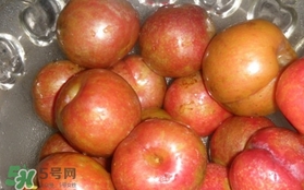 三華李可以泡酒嗎？三華李可以多吃嗎？